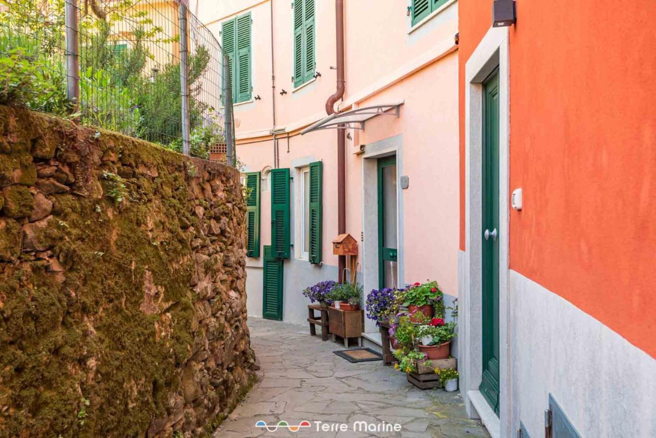 Nonna Pina Apartment Volastra Bagian luar foto